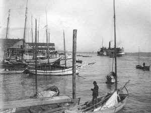 Cannery_Row_1900